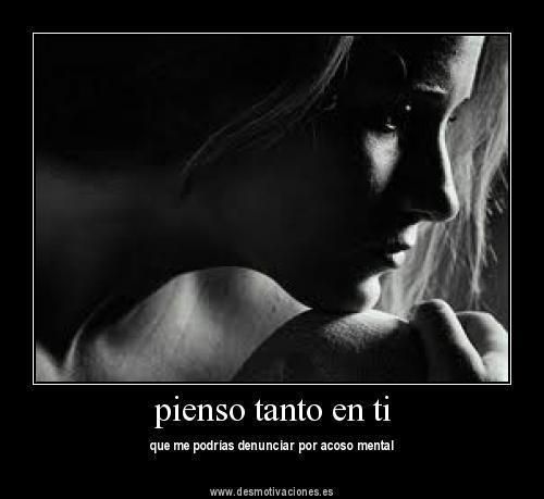  photo pienso.jpg