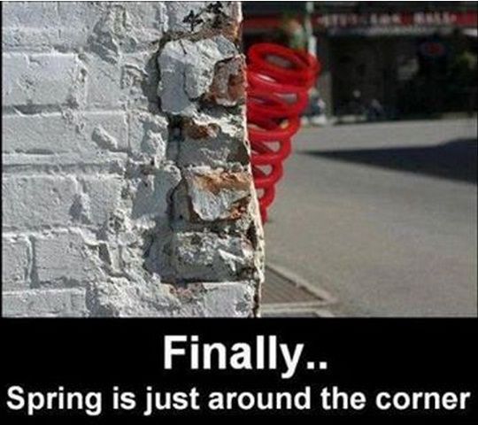 springaroundthecorner.jpg