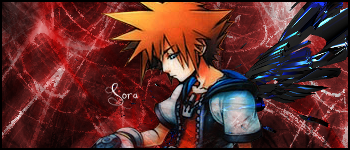 SoraSigwborder.png picture by Sora_X