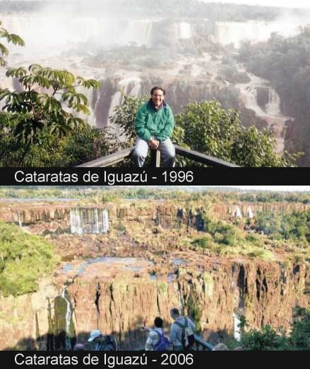 daños al planta y como ayudarlo daños al planta y como ayudarlo