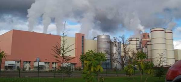 daño al medio ambiente daño al medio ambiente