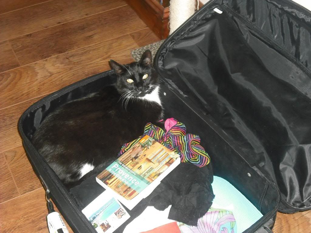 Stowaway photo 2.jpg