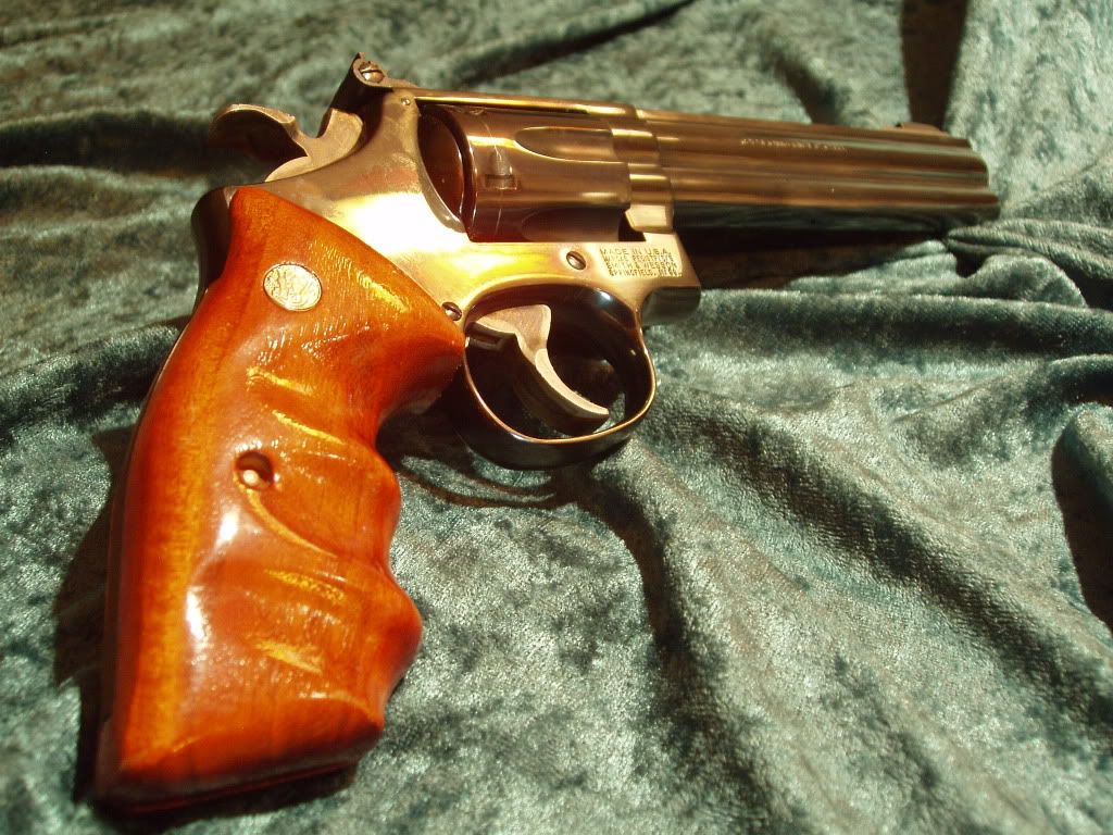 Handgun013.jpg